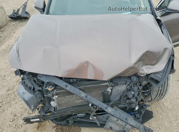 5NMS53AA0LH213473 2020 HYUNDAI SANTA Brown Սալոնի հետևի տեսք