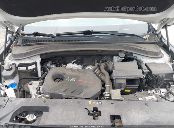5NMS5CAA0LH289128 2020 HYUNDAI SANTA FE White Հետևի տեսք