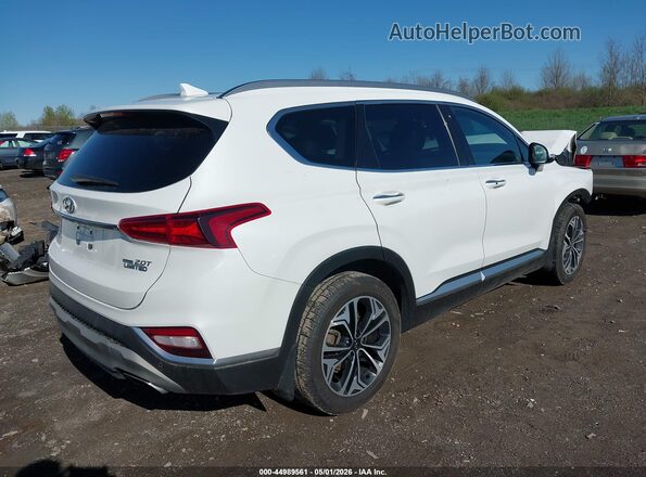 5NMS5CAA6KH022929 2019 HYUNDAI SANTA FE White უკანა მარჯვენა