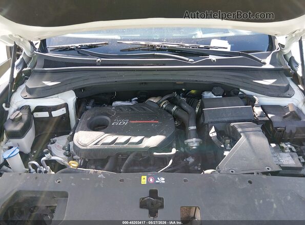 5NMS5CAAXLH300569 2020 HYUNDAI SANTA FE White Rear view