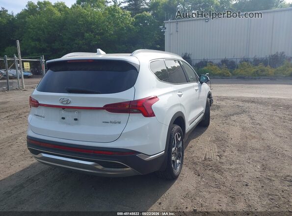 5NMS5DA10PH023605 2023 HYUNDAI SANTA FE HYBRID White Tył prawy