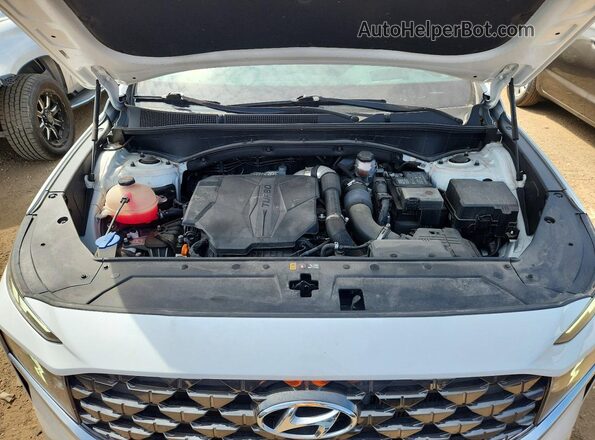 5NMS5DAL0MH361468 2021 HYUNDAI SANTA White 