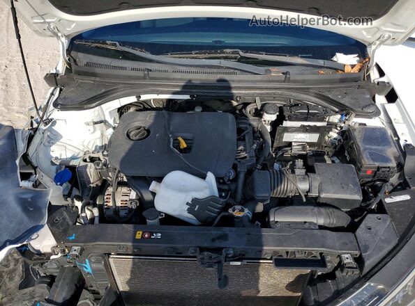 5NPD84LF6LH575499 2020 HYUNDAI ELANTRA White Սալոնի հետևի տեսք