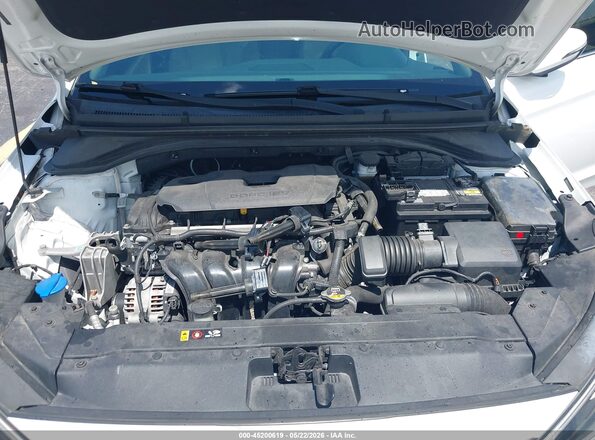 5NPD84LF6LH608260 2020 HYUNDAI ELANTRA Белый Вид сзади