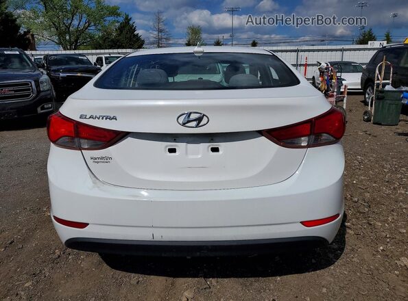 5NPDH4AE2GH756454 2016 HYUNDAI ELANTRA Белый Вид сзади