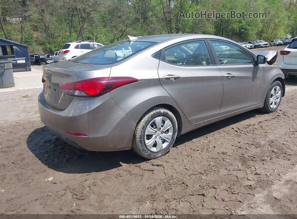 5NPDH4AE8GH743742 2016 HYUNDAI ELANTRA Brown Tył prawy