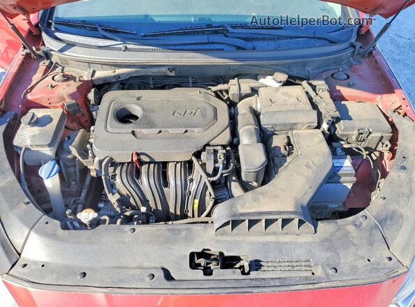 5NPE24AF0JH695966 2018 HYUNDAI SONATA Burgundy 