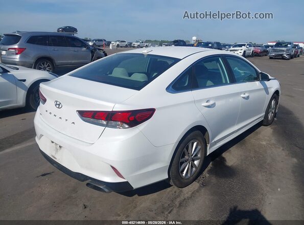 5NPE24AF0KH819980 2019 HYUNDAI SONATA White Tył prawy
