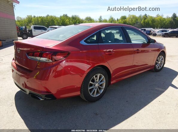5NPE24AF1JH642967 2018 HYUNDAI SONATA Red Tył prawy