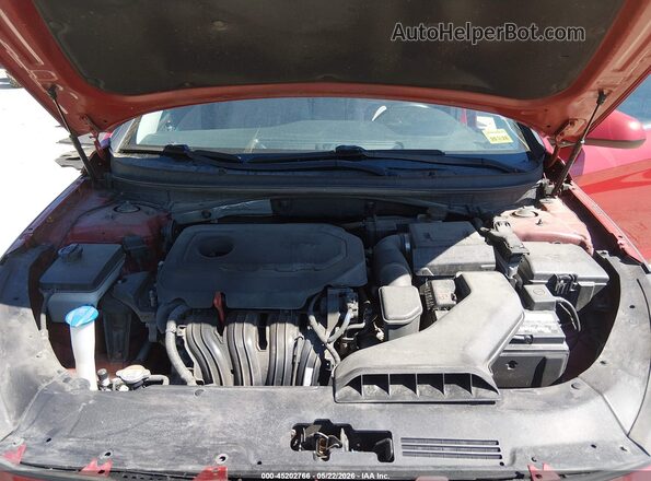 5NPE24AF1JH642967 2018 HYUNDAI SONATA Red Widok z tyłu