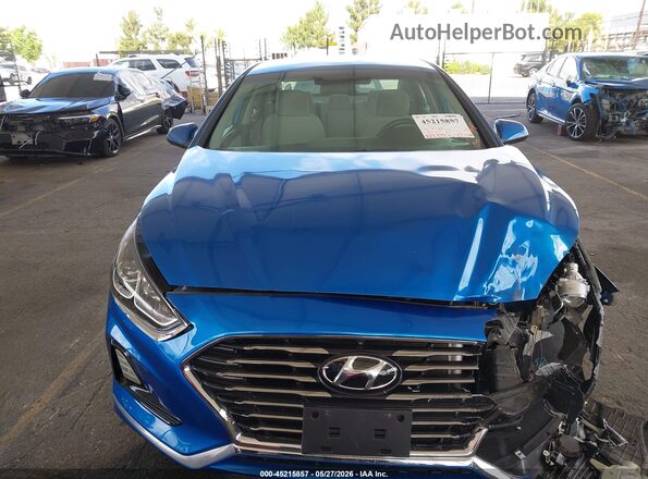 5NPE24AF1KH770563 2019 HYUNDAI SONATA Blue Սալոնի հետևի տեսք