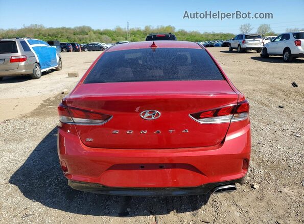 5NPE24AF1KH773575 2019 HYUNDAI SONATA Burgundy უკანა ხედი