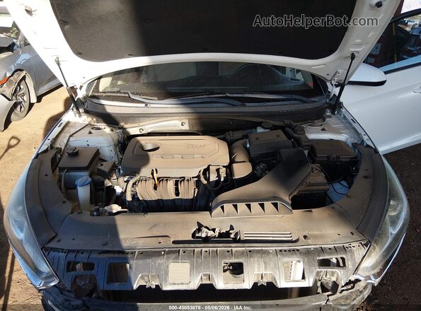 5NPE24AF2KH787100 2019 HYUNDAI SONATA White Հետևի տեսք