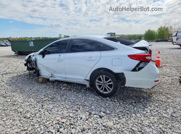 5NPE24AF3GH323563 2016 HYUNDAI SONATA White Rear left