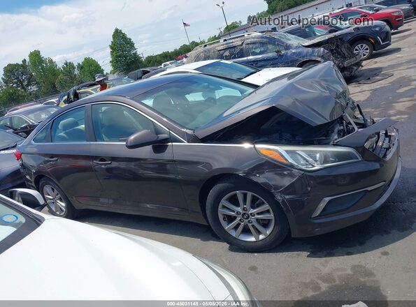 5NPE24AF3GH331825 2016 HYUNDAI SONATA Dark Brown Vista interior trasera