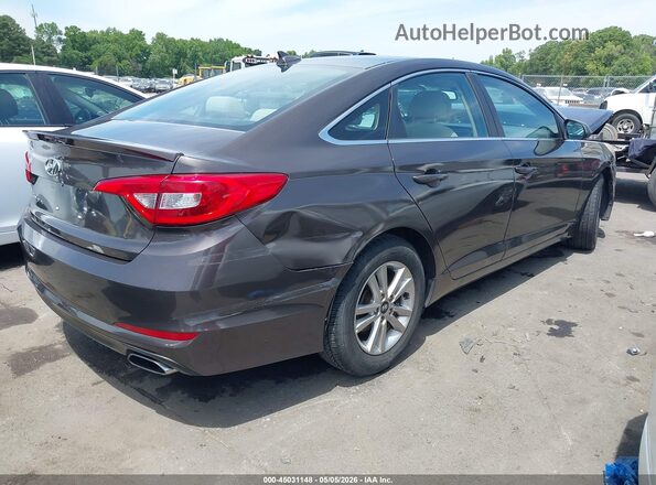 5NPE24AF3GH331825 2016 HYUNDAI SONATA Dark Brown Trasero derecho