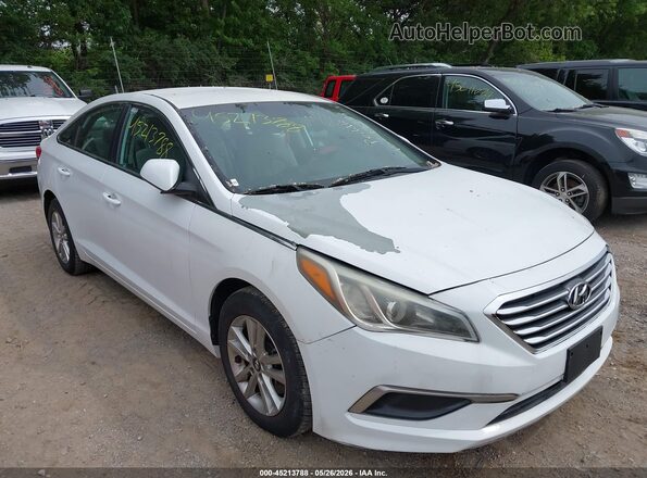 5NPE24AF3GH355624 2016 HYUNDAI SONATA White 
