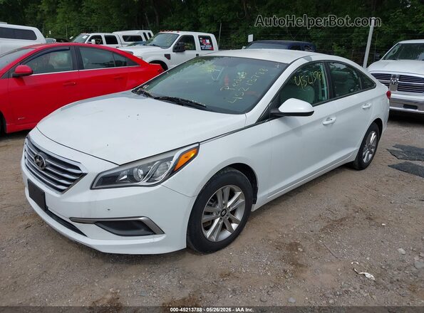 5NPE24AF3GH355624 2016 HYUNDAI SONATA White 