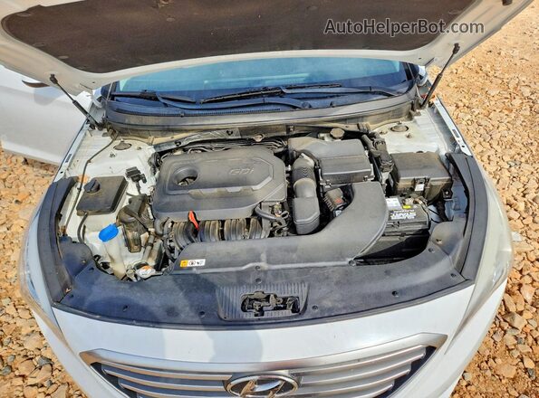 5NPE24AF4GH327881 2016 HYUNDAI SONATA White Սալոնի հետևի տեսք