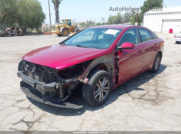 5NPE24AF4GH330795 2016 HYUNDAI SONATA Burgundy 