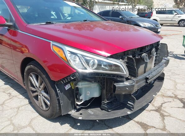 5NPE24AF4GH330795 2016 HYUNDAI SONATA Burgundy 