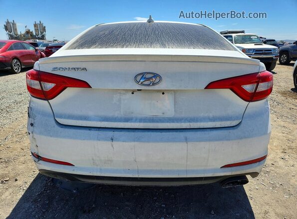 5NPE24AF4GH372965 2016 HYUNDAI SONATA White 