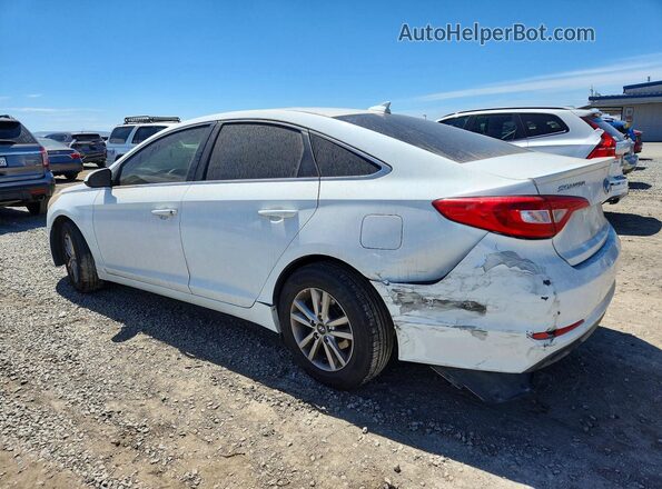 5NPE24AF4GH372965 2016 HYUNDAI SONATA White 