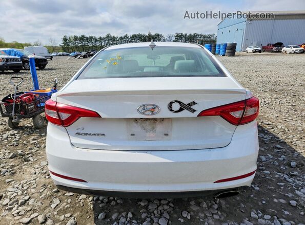 5NPE24AF4HH509081 2017 HYUNDAI SONATA Белый Вид сзади