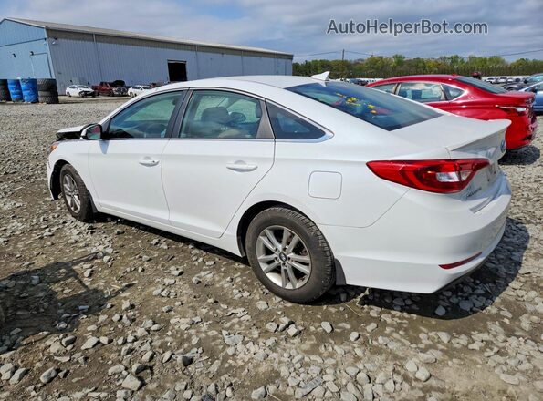 5NPE24AF4HH509081 2017 HYUNDAI SONATA Белый Задняя левая четверть