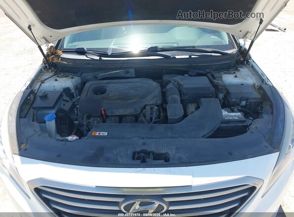 5NPE24AF4HH519318 2017 HYUNDAI SONATA White 