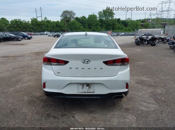 5NPE24AF4KH786742 2019 HYUNDAI SONATA White 