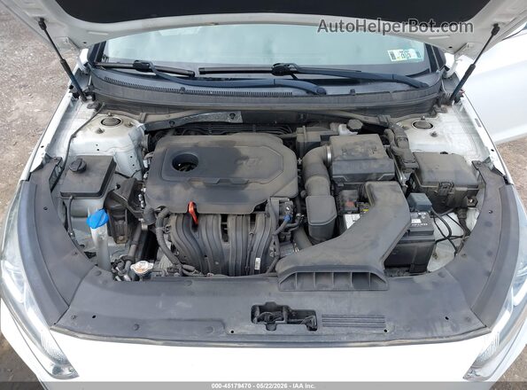 5NPE24AF4KH786742 2019 HYUNDAI SONATA White Rear view