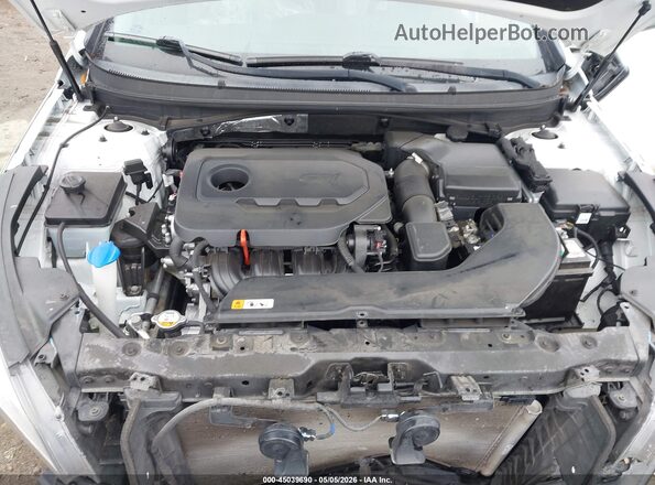 5NPE24AF5GH337268 2016 HYUNDAI SONATA White Rear view