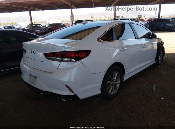 5NPE24AF5JH703396 2018 HYUNDAI SONATA White Rear right