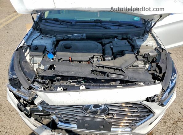5NPE24AF5KH809543 2019 HYUNDAI SONATA White 