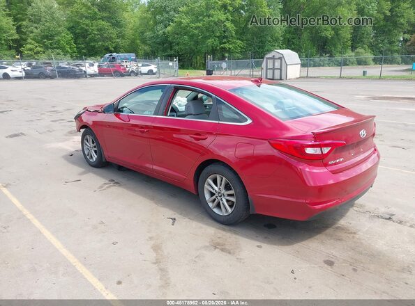 5NPE24AF6HH494731 2017 HYUNDAI SONATA Red Հետևի ձախ