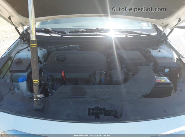 5NPE24AF6HH557519 2017 HYUNDAI SONATA Белый Вид сзади