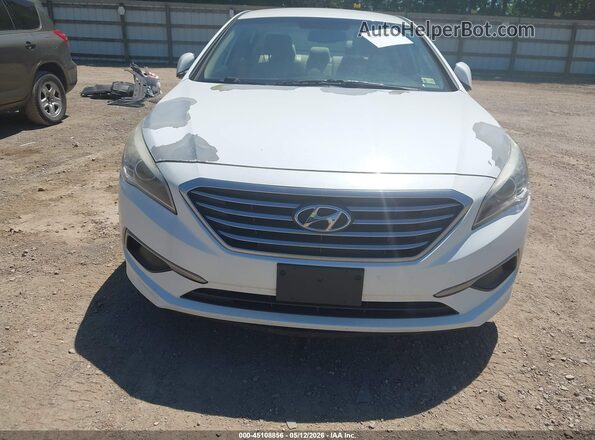 5NPE24AF6HH557519 2017 HYUNDAI SONATA Белый Вид спереди