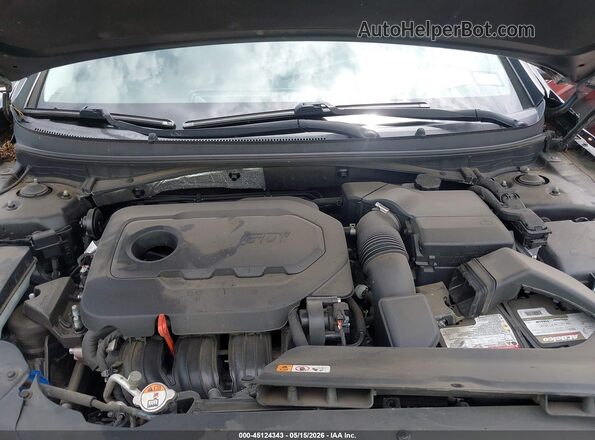 5NPE24AF7GH359434 2016 HYUNDAI SONATA Черный Вид сзади