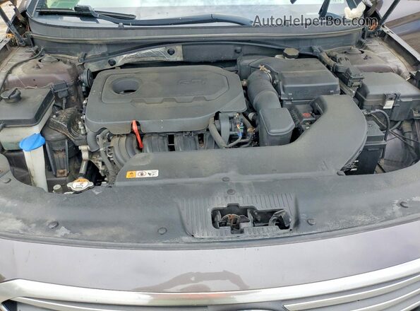 5NPE24AF7GH395348 2016 HYUNDAI SONATA Brown 