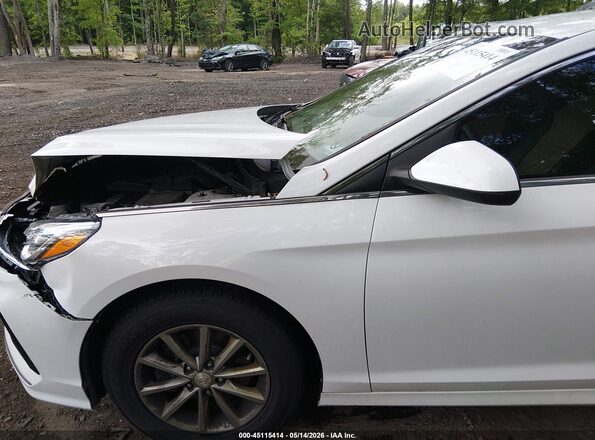 5NPE24AF7KH782345 2019 HYUNDAI SONATA Белый Вид спереди