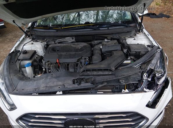 5NPE24AF7KH782345 2019 HYUNDAI SONATA Белый Вид сзади
