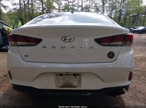 5NPE24AF7KH782345 2019 HYUNDAI SONATA Белый 