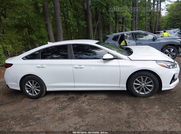 5NPE24AF7KH782345 2019 HYUNDAI SONATA Белый Вид задней части салона