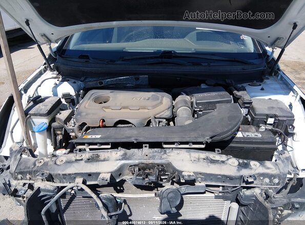 5NPE24AF8GH267264 2016 HYUNDAI SONATA Белый Вид сзади