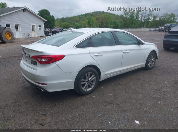 5NPE24AF8GH337992 2016 HYUNDAI SONATA White Задня права чверть