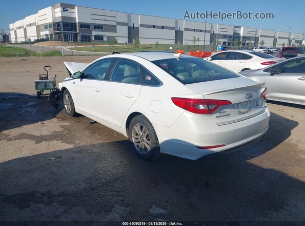 5NPE24AF8GH372595 2016 HYUNDAI SONATA White Задня ліва чверть
