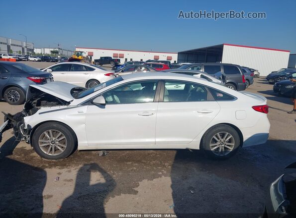 5NPE24AF8GH372595 2016 HYUNDAI SONATA White Вид задньої частини салону