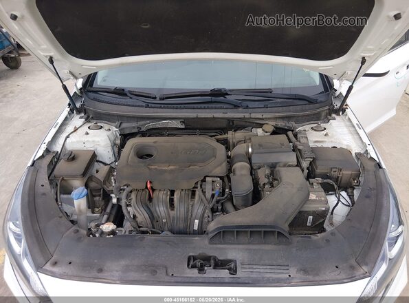 5NPE24AF8KH735938 2019 HYUNDAI SONATA White Вид ззаду