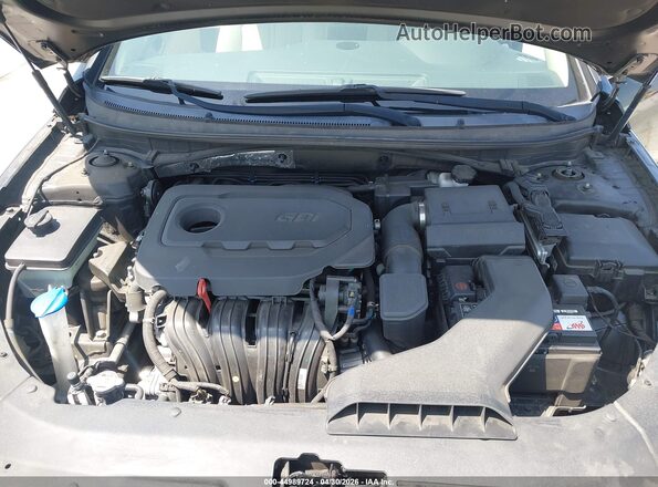 5NPE24AF8KH808726 2019 HYUNDAI SONATA Black Widok z tyłu
